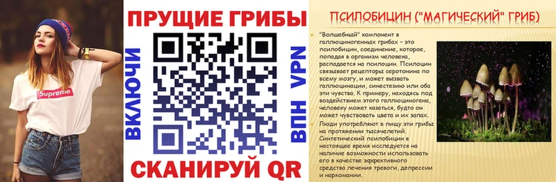Псилоцибиновые грибы прущие грибы  Снежинск 