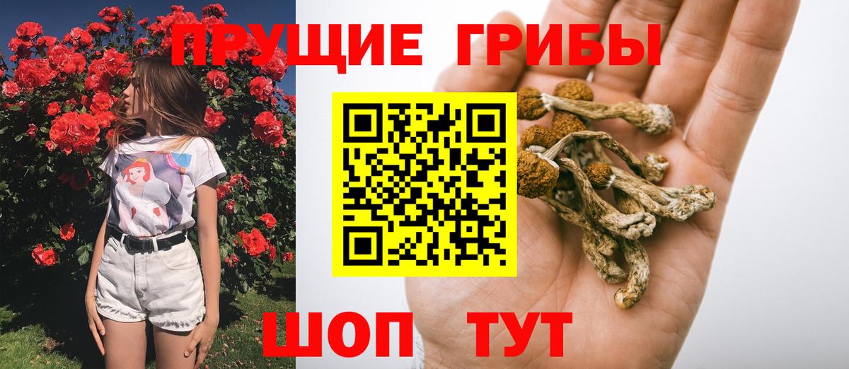 Псилоцибиновые грибы прущие грибы  Псилоцибиновые грибы ЛСД  Вход с VPN  Снежинск 
